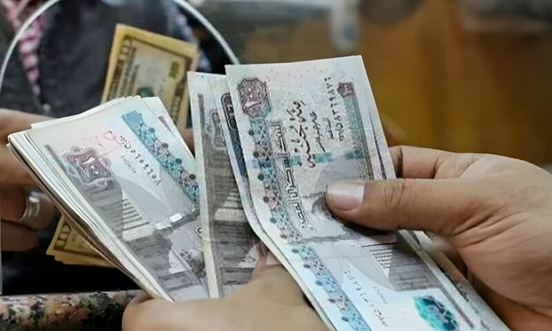 15 % من الأجر السنوي.. حالات تتيح صرف مستحقاتك دون معاش