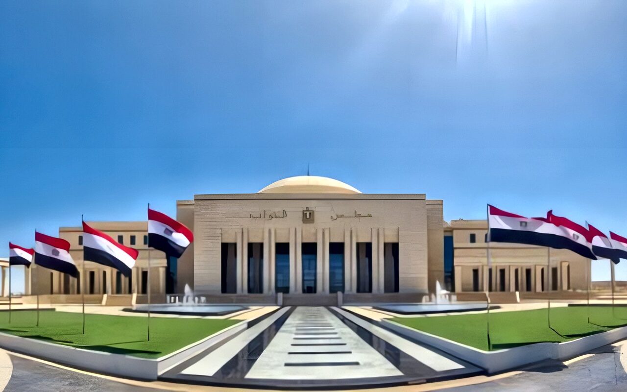 الاقتصاد المحلي.. كيف تدعم المشروعات الصغيرة توفير فرص عمل مستدامة؟
