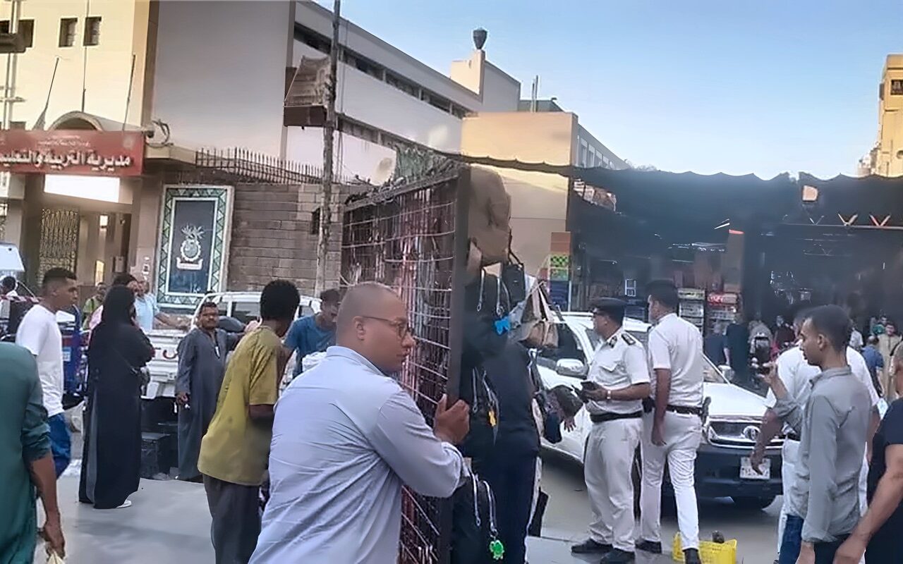 أسوان تضبط 115 حالة إشغال وتوقف مخالفات بناء دون ترخيص بعدد من الأحياء