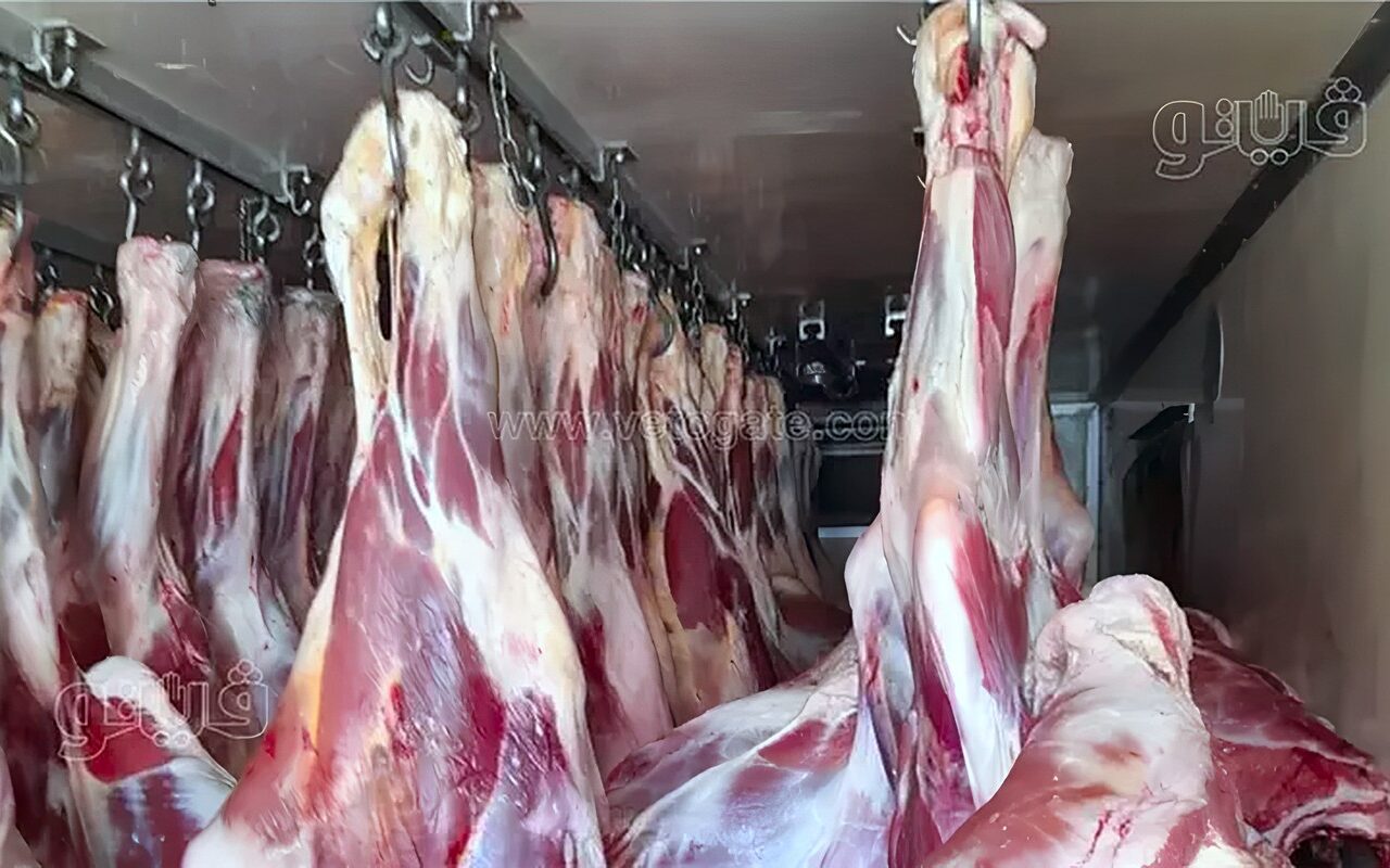 انخفاض ملحوظ في أسعار اللحوم اليوم بالأسواق
