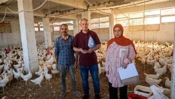 «زراعة البحيرة» تشن حملة مكثفة على مزارع الدواجن بكوم حمادة