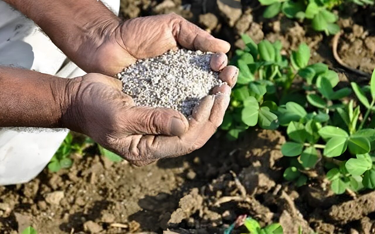 يتجاوز الـ 4 آلاف جنيه، انخفاض غير مسبوق في أسعار الأسمدة اليوم بالأسواق