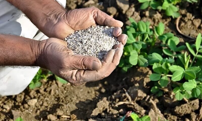 يتجاوز الـ 4 آلاف جنيه، انخفاض غير مسبوق في أسعار الأسمدة اليوم بالأسواق