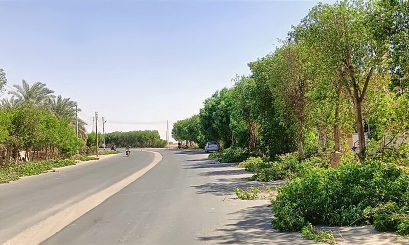 الداخلة تكثف حملات النظافة بالشوارع (صور)