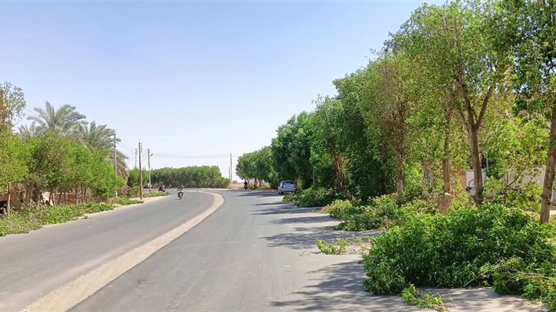 الداخلة تكثف حملات النظافة بالشوارع (صور)