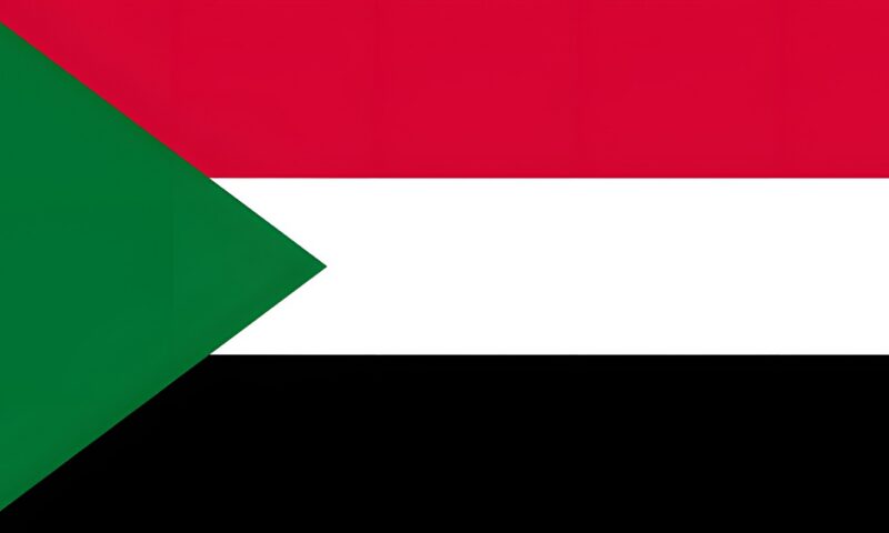 مـ.قتل طفل وإصابة 12 آخرين في استهداف مسيرة مركز “الميناء البري” السوداني