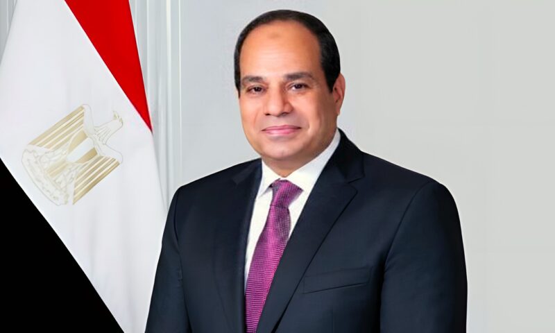 الرئيس السيسي: التنمية الاقتصادية لا تُبنى في دول غير مستقرة.. والأمن ركيزة للاستثمار