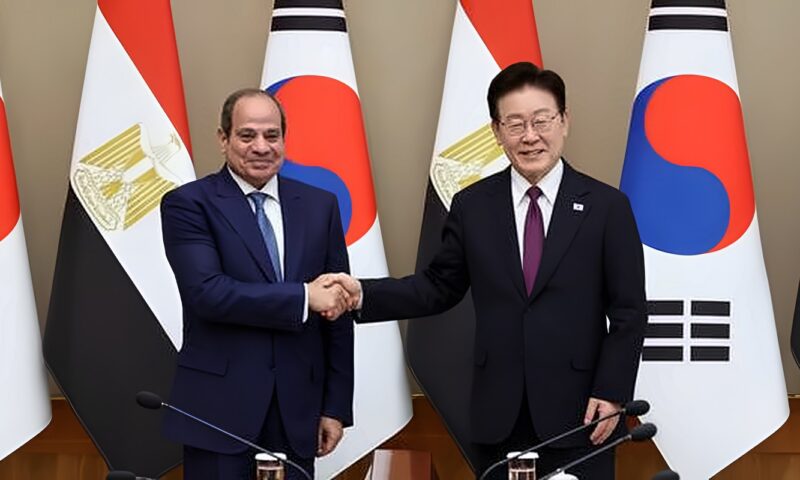 أستاذ إدارة أعمال: الرئيس السيسي يقود دبلوماسية اقتصادية متوازنة ومرنة
