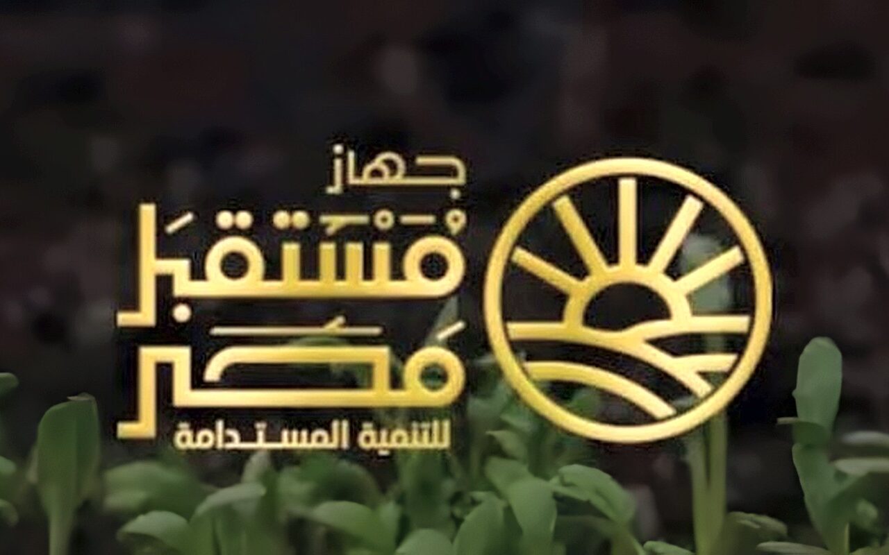 “جهاز مستقبل مصر”: ننفذ 19 ألف كيلومتر من شبكات الكهرباء بالدلتا الجديدة لدعم مشروعات التنمية