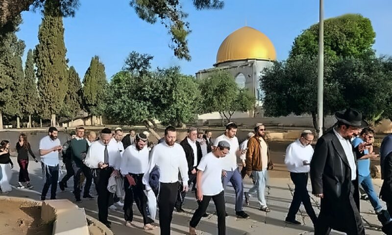 عشرات المستوطنين الإسرائيليين يقتحمون باحات المسجد الأقصى