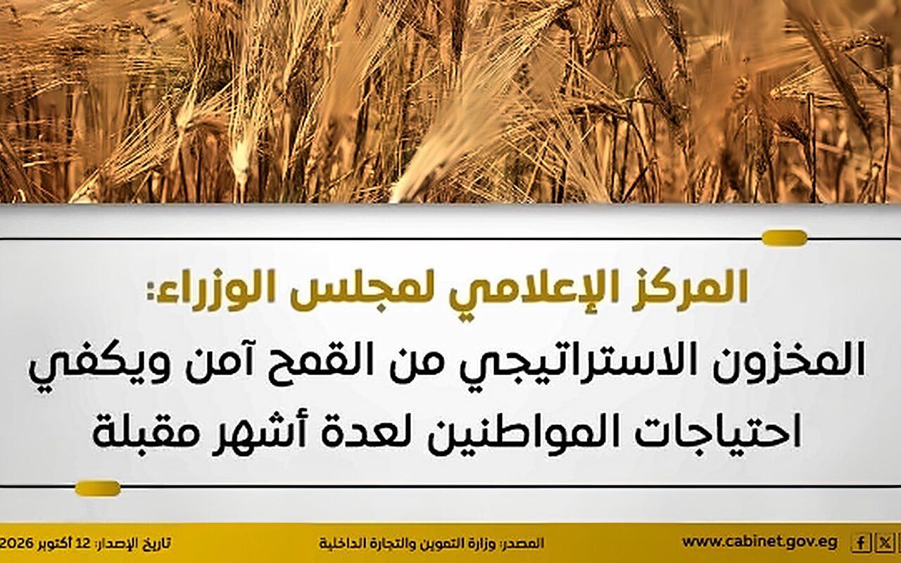 إعلامي مجلس الوزراء: المخزون الاستراتيجي من القمح آمن ويكفي احتياجات المواطنين لعدة أشهر مقبلة