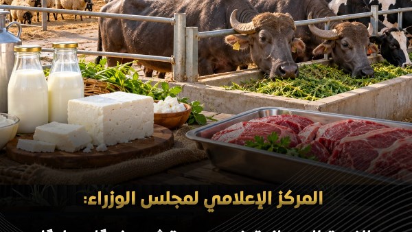 إعلامي مجلس الوزراء: الثروة الحيوانية في مصر تشهد نموًا مطردًا وارتفاعًا في الإنتاج المحلي من اللحوم والألبان
