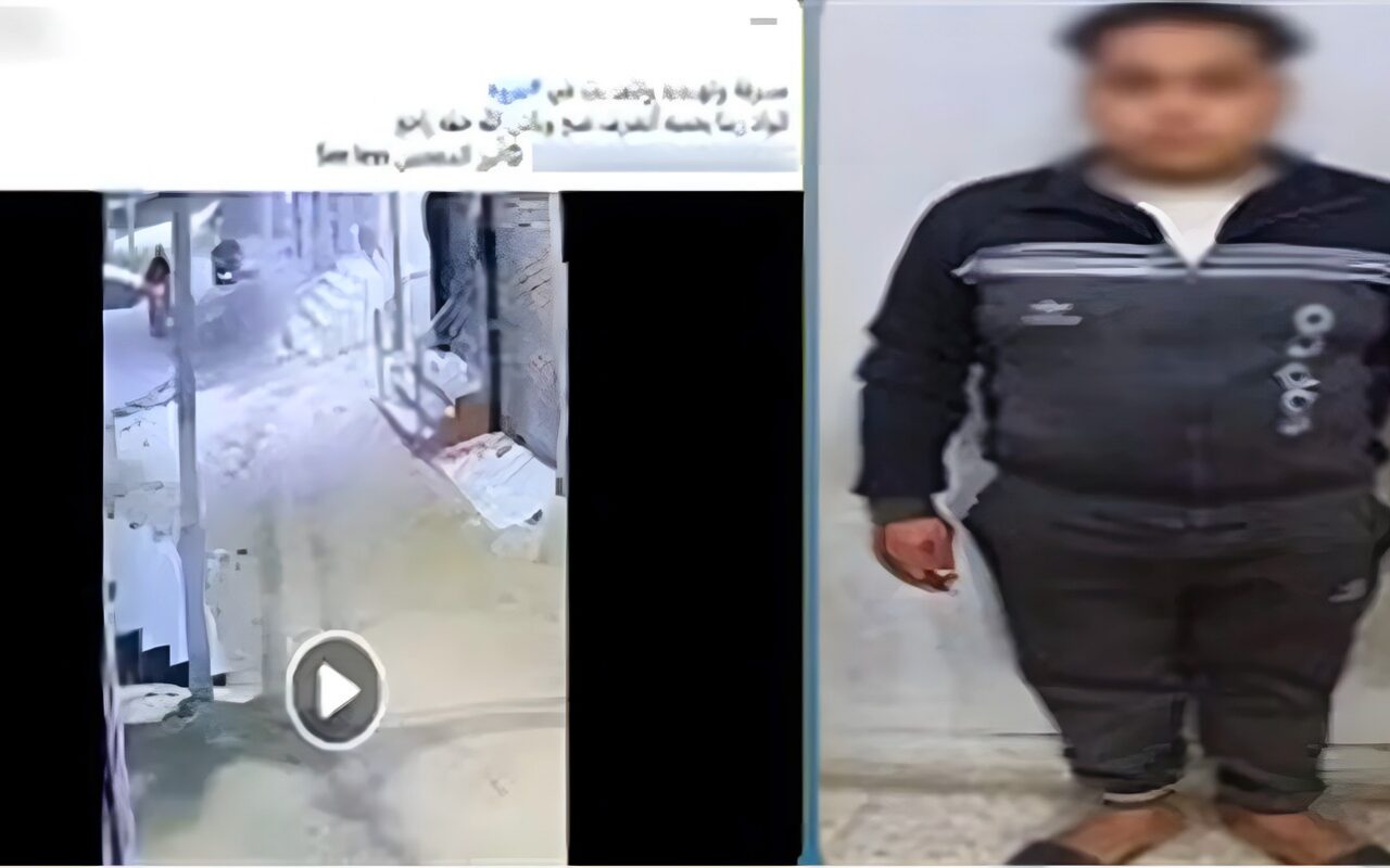 ضبط طالب وعامل بتهمة سرقة هاتف محمول بالإكراه وتهديد صاحبه بسلاح أبيض في الدقهلية