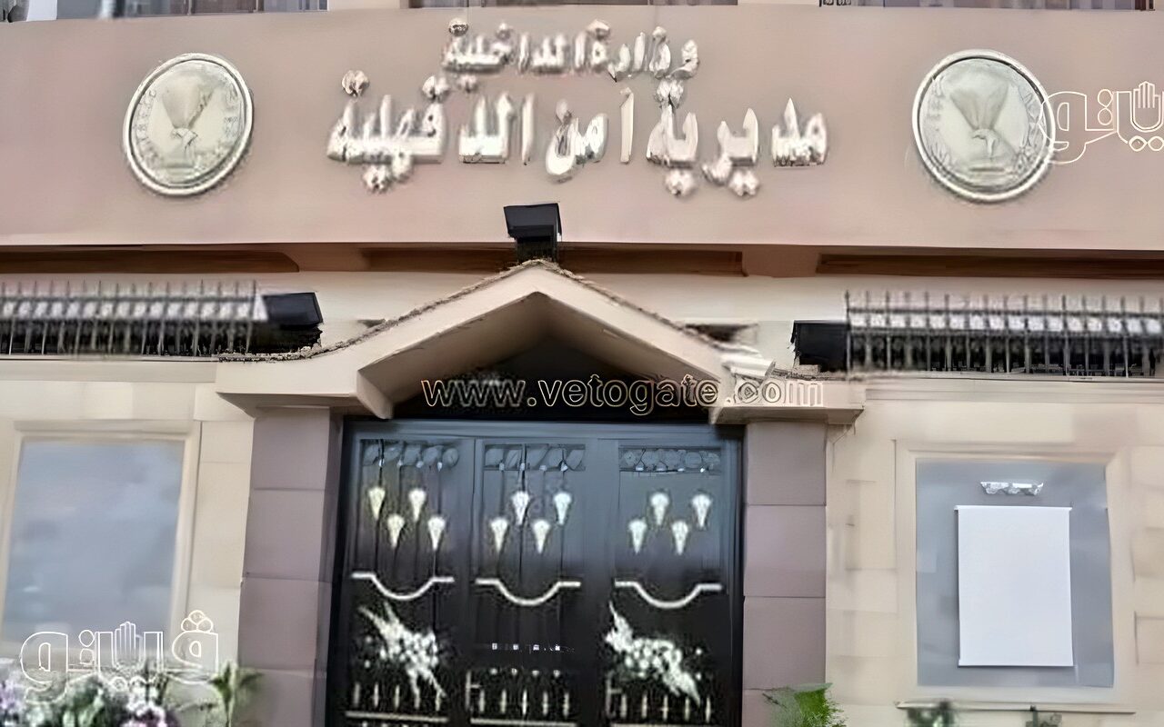ضبط تشكيل عصابي يروج المخدرات والأسلحة في ميت غمر بالدقهلية