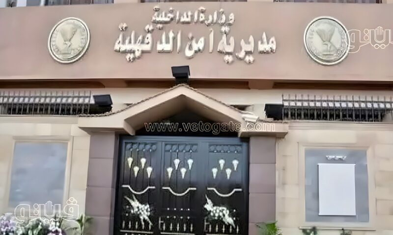 ضبط تشكيل عصابي يروج المخدرات والأسلحة في ميت غمر بالدقهلية