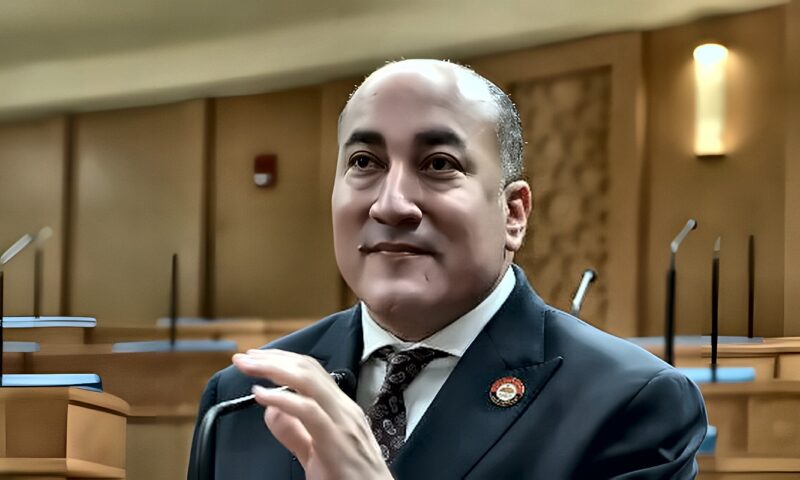برلماني: كلمة الرئيس بمنتدى العلمين تدعو إلى استثمار إمكانات أفريقيا لصالح الشعوب