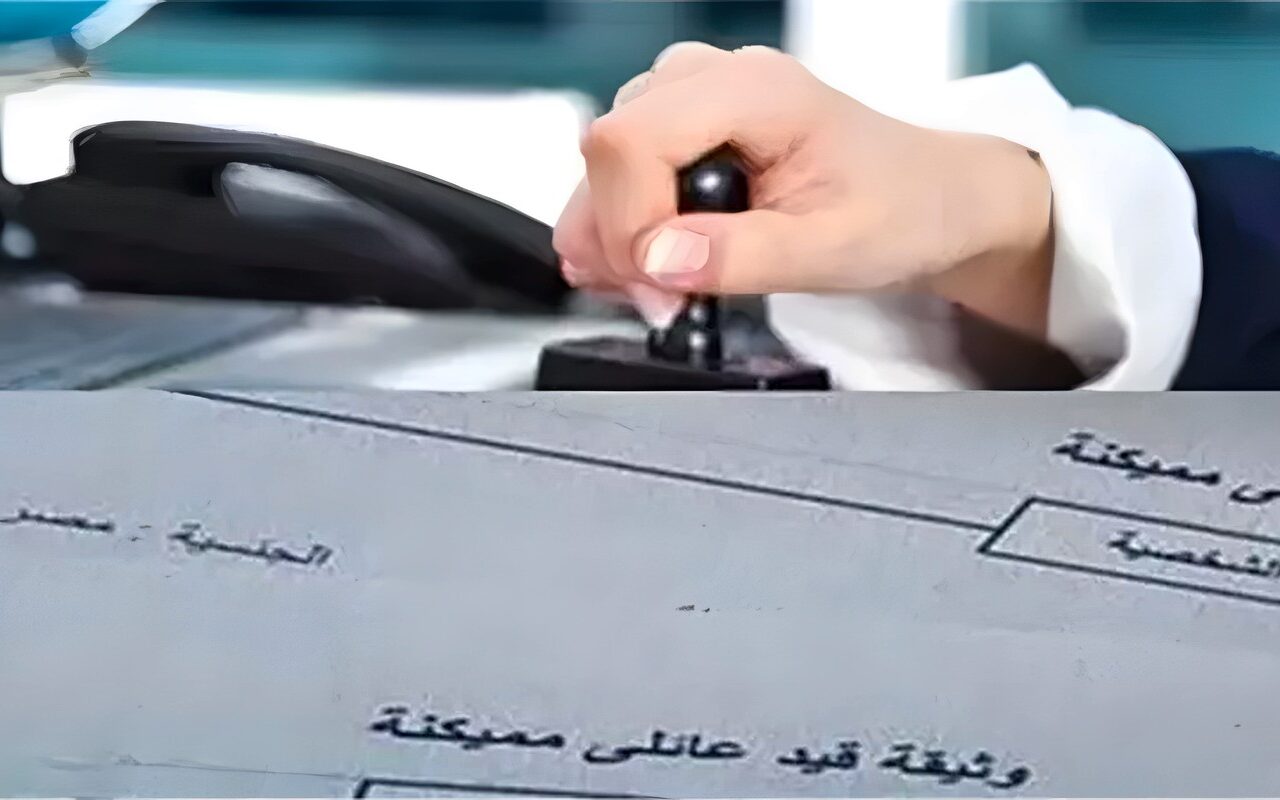 القيد العائلي المميكن، خطوات وأصحاب الحق في استخراجه والمستندات المطلوبة