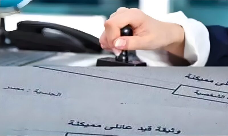 القيد العائلي المميكن، خطوات وأصحاب الحق في استخراجه والمستندات المطلوبة