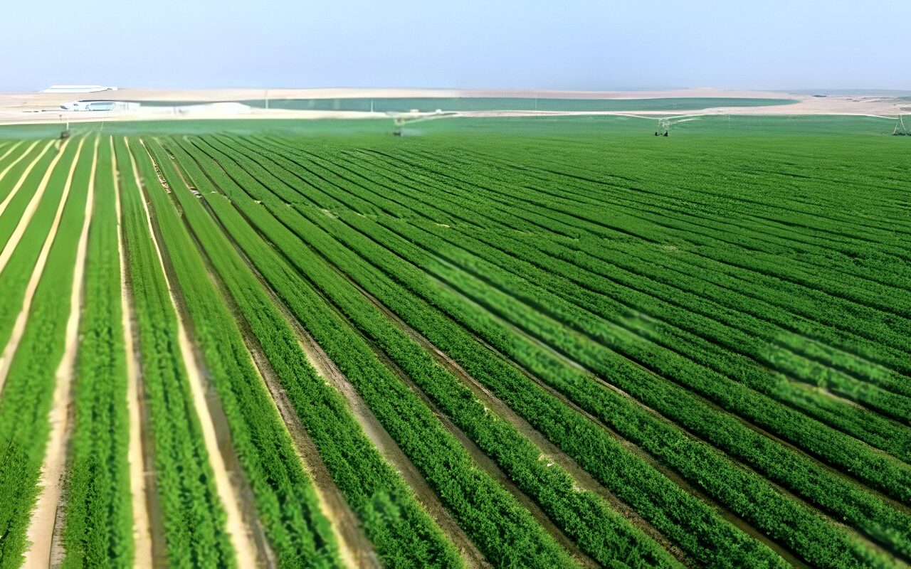 4.5 مليون فدان تعيد رسم خريطة الزراعة في مصر.. من الدلتا الجديدة إلى توشكى وسيناء لتعزيز الأمن الغذائي وخفض فاتورة الاستيراد