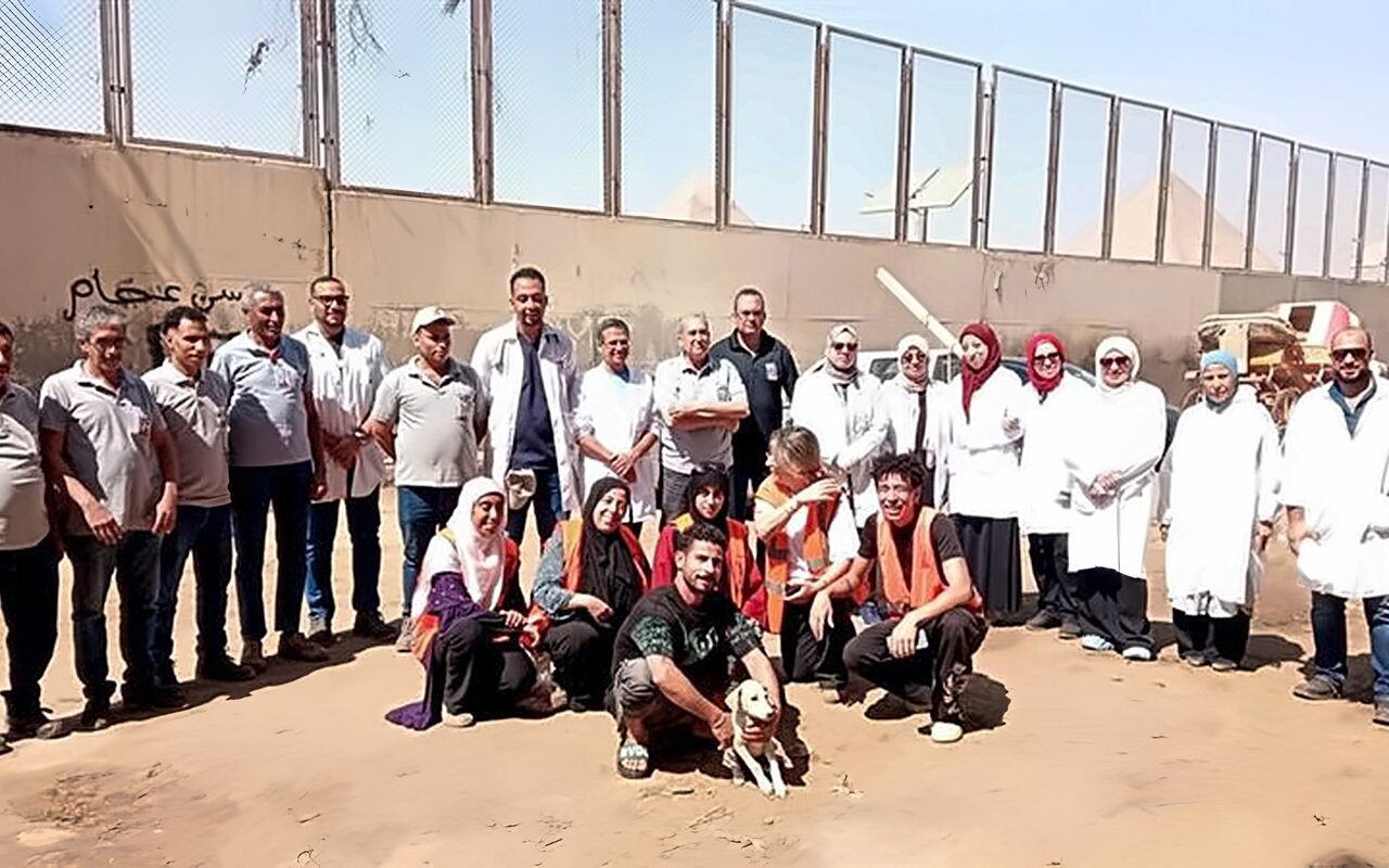 “الزراعة” تنهي تحصين خيول الأهرامات استعدادًا لبطولة الفروسية الدولية