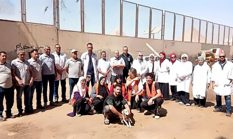 “الزراعة” تنهي تحصين خيول الأهرامات استعدادًا لبطولة الفروسية الدولية