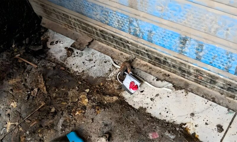رفع إشغالات وغلق منشأة غذائية مخالفة في البدرشين
