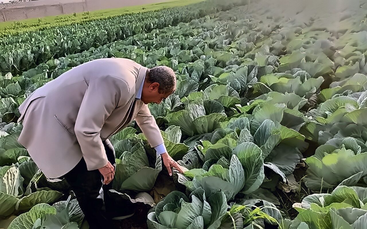 الزراعة: استعدادات لتوفير التقاوي والأسمدة ودعم المزارعين تزامنا مع الموسم الشتوي