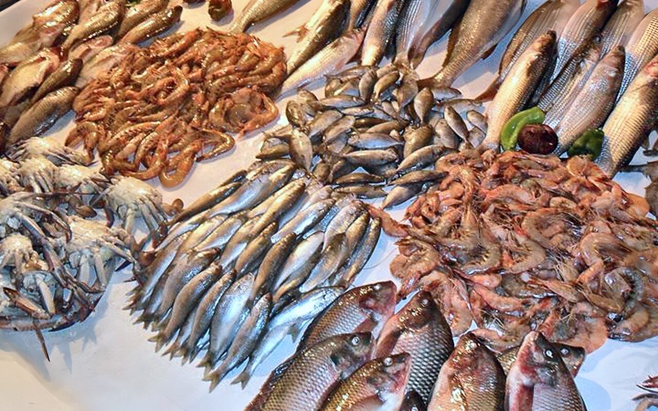 أسعار الأسماك اليوم، ارتفاع البلطي وقفزة في الكابوريا وانخفاض الجمبري 100 جنيه