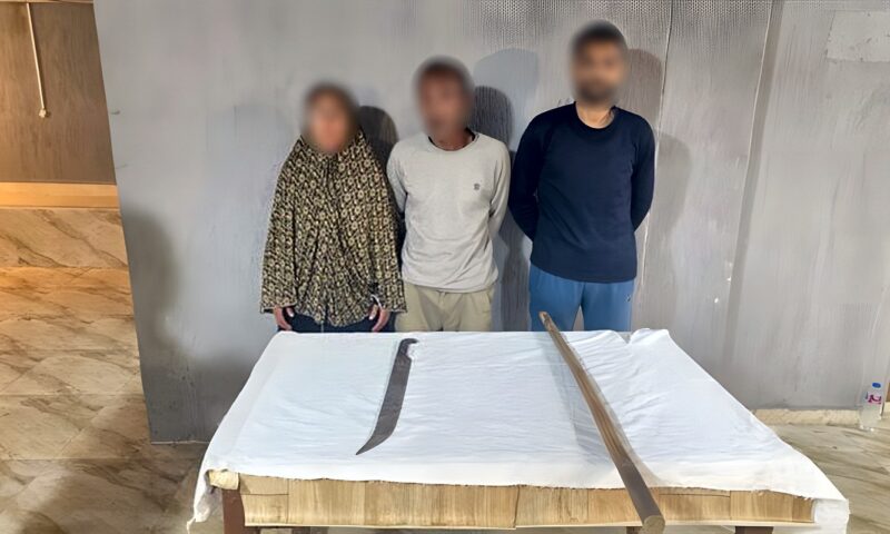 مشاجرة قديمة، ضبط شخصين وسيدة بالمنوفية بعد ظهورهم في فيديو يحملون عصا وسلاحًا أبيضًا