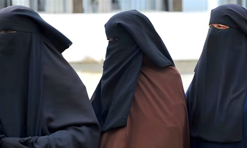 ارتديا النقاب لسرقة الخالة فقتلاها، جلسة حاسمة في جريمة بولاق الدكرور غدا