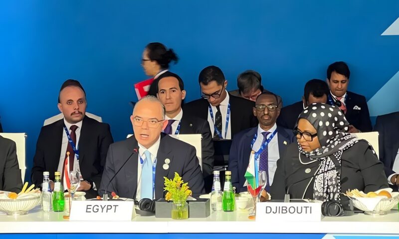 محمد فريد: استقرار الاقتصاد ووضوح السياسات النقدية عوامل أساسية لجذب الاستثمارات طويلة الأجل