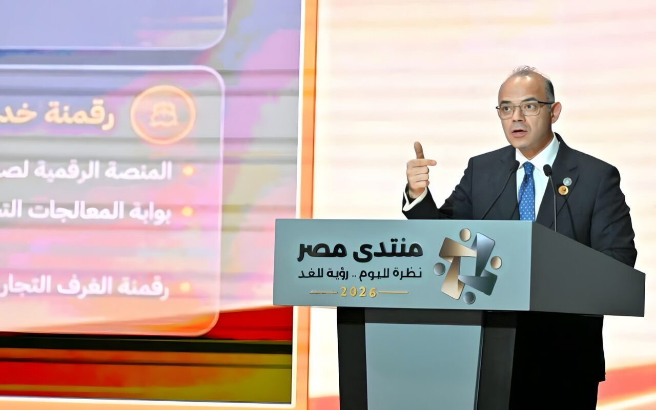 د. محمد فريد: مصر تتصدر أفريقيا في جذب الاستثمار الأجنبي المباشر