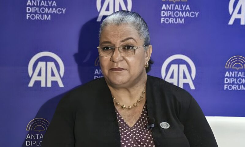 المبعوثة الأممية تحذّر من انهيار التوافق السياسي في ليبيا وتطالب بمحاسبة معرقلي الانتخابات