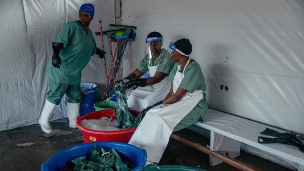إيبولا يثير القلق في شرق إفريقيا.. كينيا تسجل 4 إصابات جديدة وترفع الإجمالي إلى 7 حالات