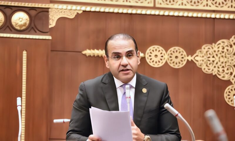 نائب: الاستعداد للأزمات خط الدفاع الأول لحماية الدولة وإنقاذ الأرواح
