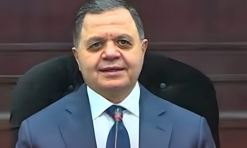 بالأسماء.. ننشر قرار وزير الداخلية بالسماح لـ 21 مصريا بالتجنس بجنسيات أجنبية