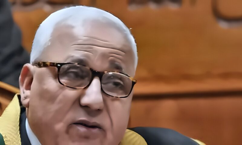 تأجيل محاكمة 9 متهمين بـ خلية داعش عين شمس لـ 1 نوفمبر