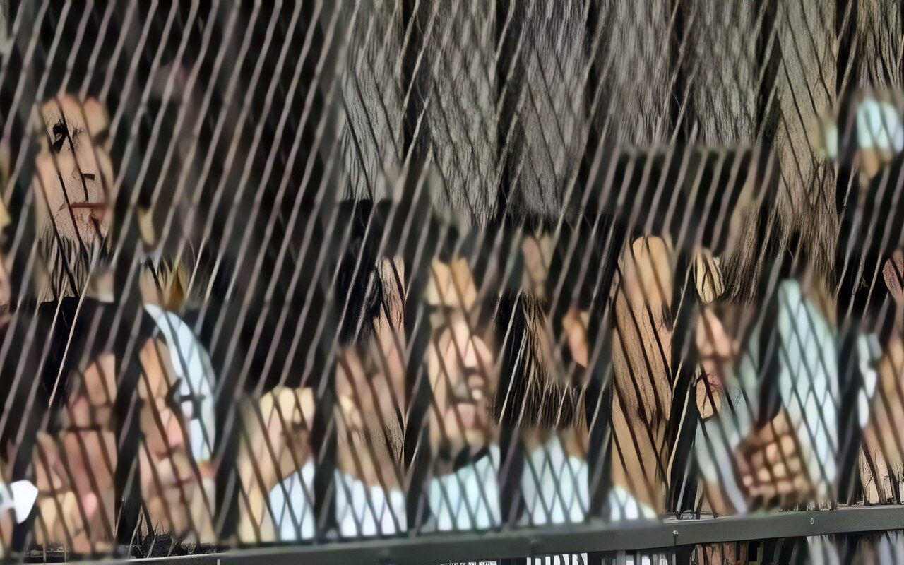 قرار عاجل في محاكمة 222 متهما بخلية الهيكل الإداري في مدينة نصر