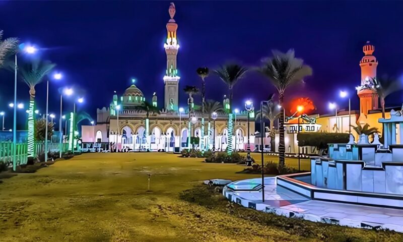“أسد الصعيد” و”أبو الكرامات”، حكاية العالم الذي ارتبط اسمه بتاريخ قنا وأصبح أحد أبرز رموزها الدينية (فيديو)
