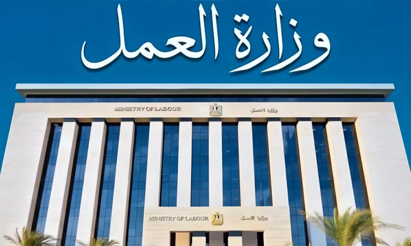 هل يؤثر القرار 249 لسنة 2026 على العاملين بالسلامة والصحة المهنية؟ وزارة العمل تجيب