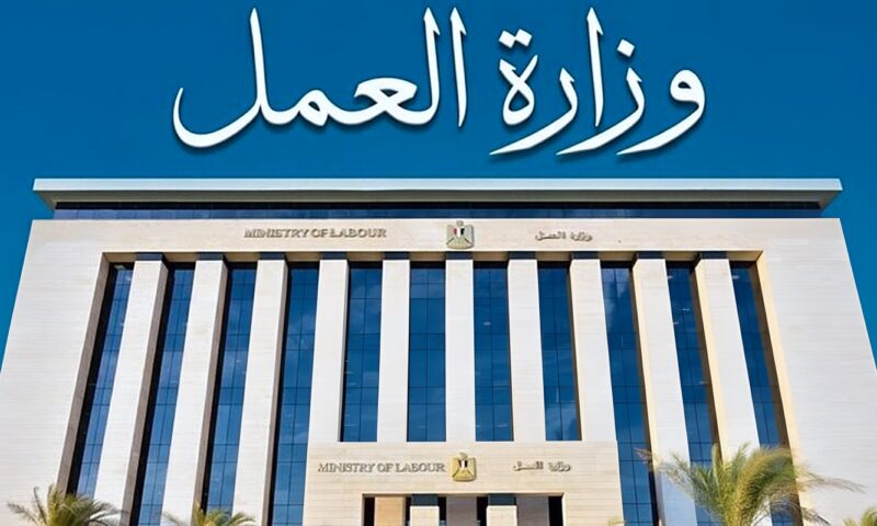 لـ القناوية فقط، الحكومة تعلن عن فرص عمل مغرية برواتب تصل إلى 40 ألف جنيه