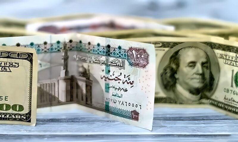 سعر الدولار مقابل الجنيه فى البنوك المصرية اليوم الجمعة “آخر تحديث”