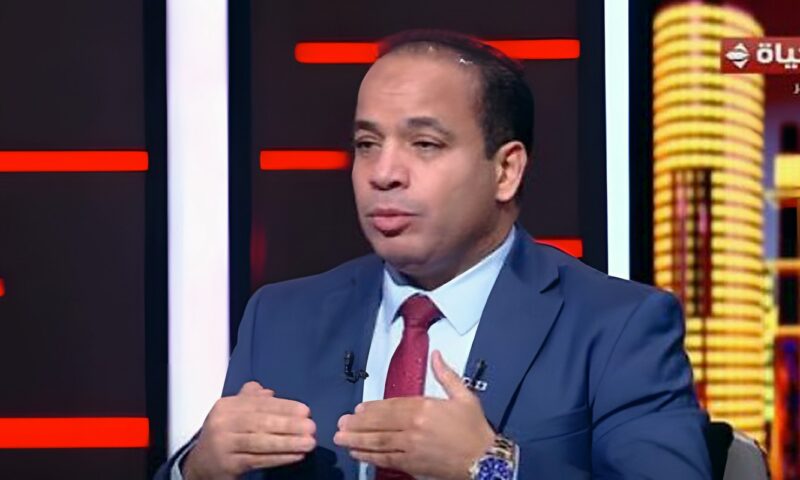 عبد المنعم السيد: مصر تتجه لبناء شراكات اقتصادية قائمة على توطين الصناعة ونقل التكنولوجيا