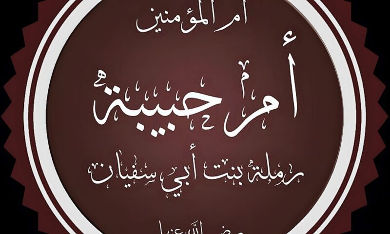 مناقب أم المؤمنين رملة بنت أبي سفيان وقصة هجرتها للحبشة وزواجها من النبي