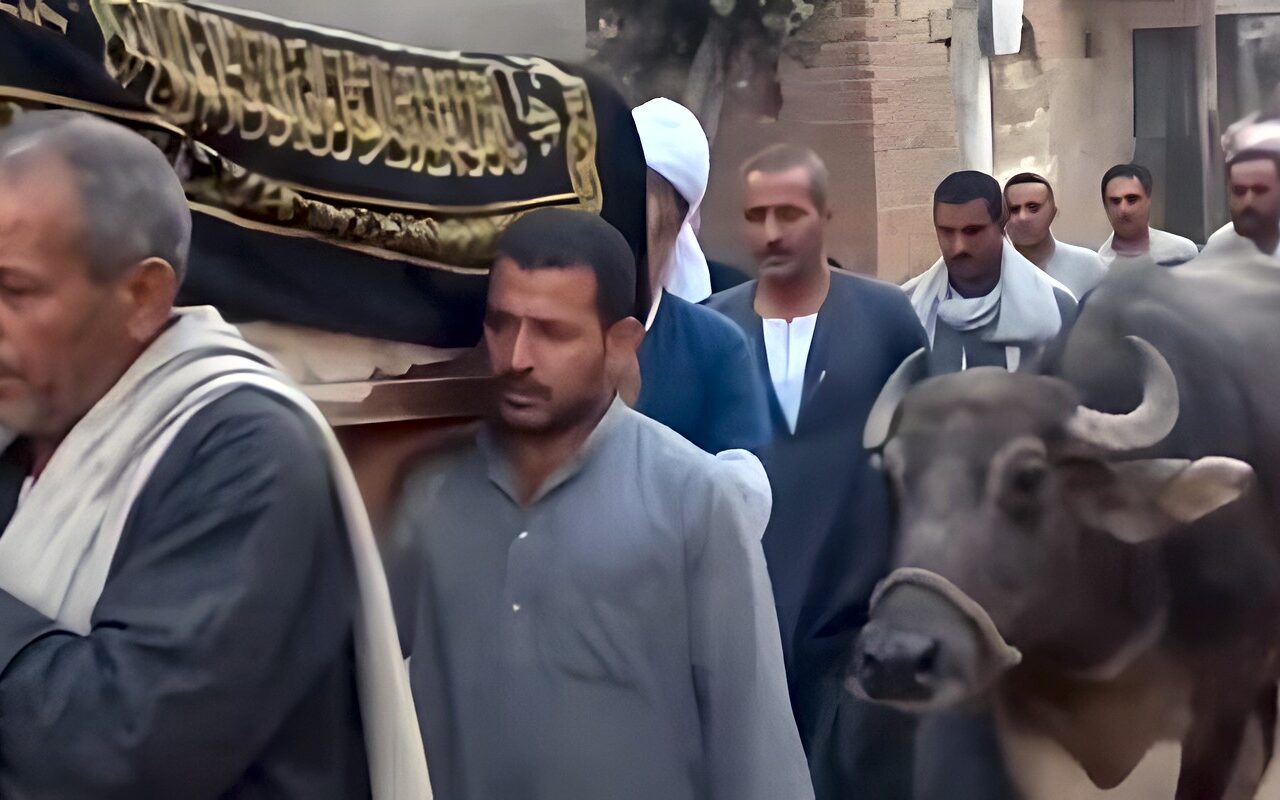 مشهد مؤثر بالفيوم.. جاموسة تودع صاحبها بالدموع وترفض الابتعاد عن نعشه