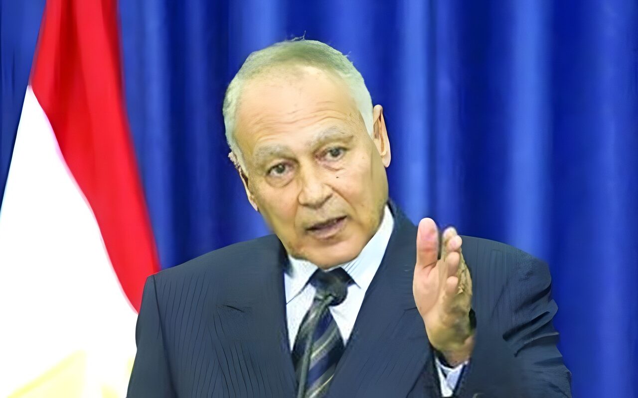 أبو الغيط يستعرض أمام السيسي دور الدبلوماسية المصرية خلال حرب أكتوبر 1973