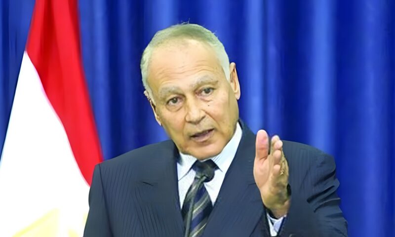 أبو الغيط يستعرض أمام السيسي دور الدبلوماسية المصرية خلال حرب أكتوبر 1973