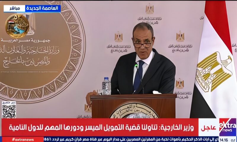 وزير الخارجية: لا استقرار في المنطقة دون حل القضية الفلسطينية