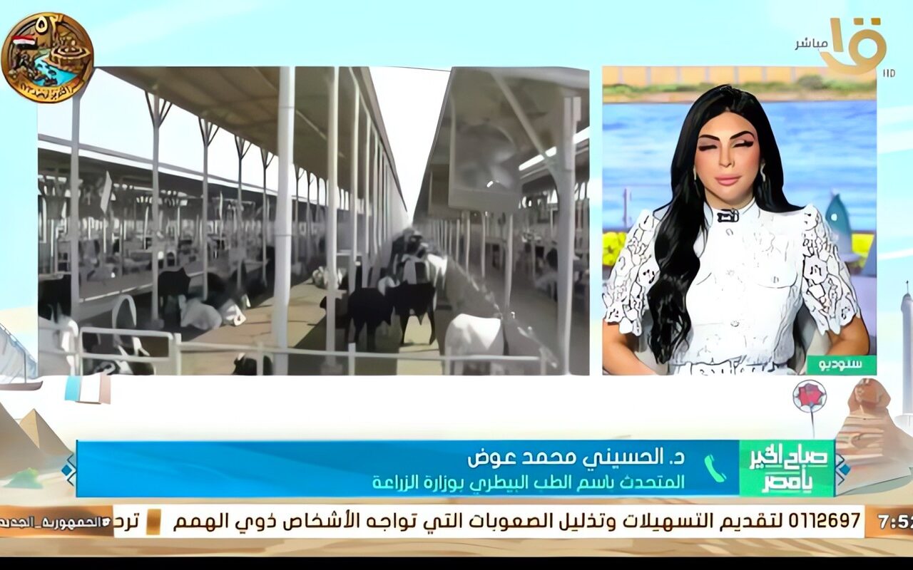 قبل ما تخسر ماشيتك.. الحسيني محمد عوض يكشف تفاصيل حملة تحصين الماشية