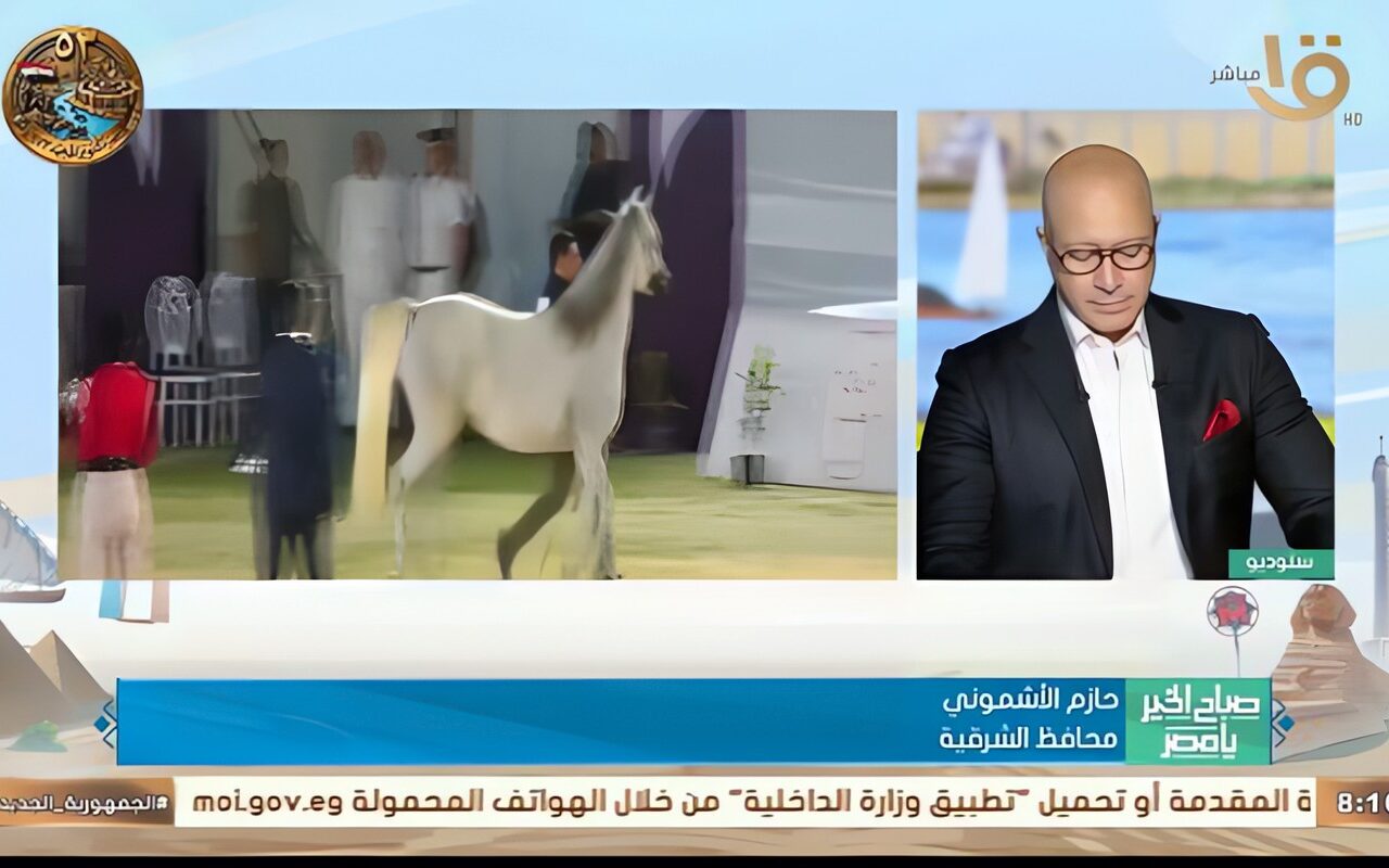 حازم الأشموني: مهرجان الخيول العربية يجسد عراقة التراث ويعزز السياحة بالشرقية
